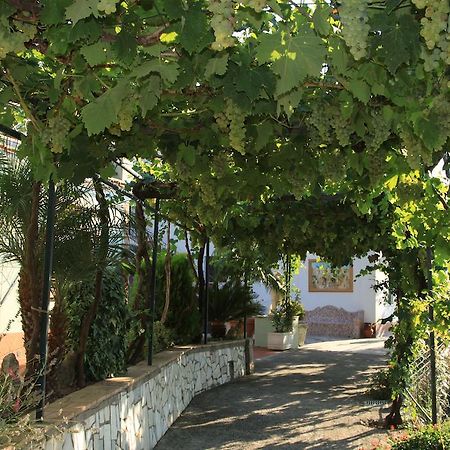 B&B Il Grappolo Anacapri  Exterior foto