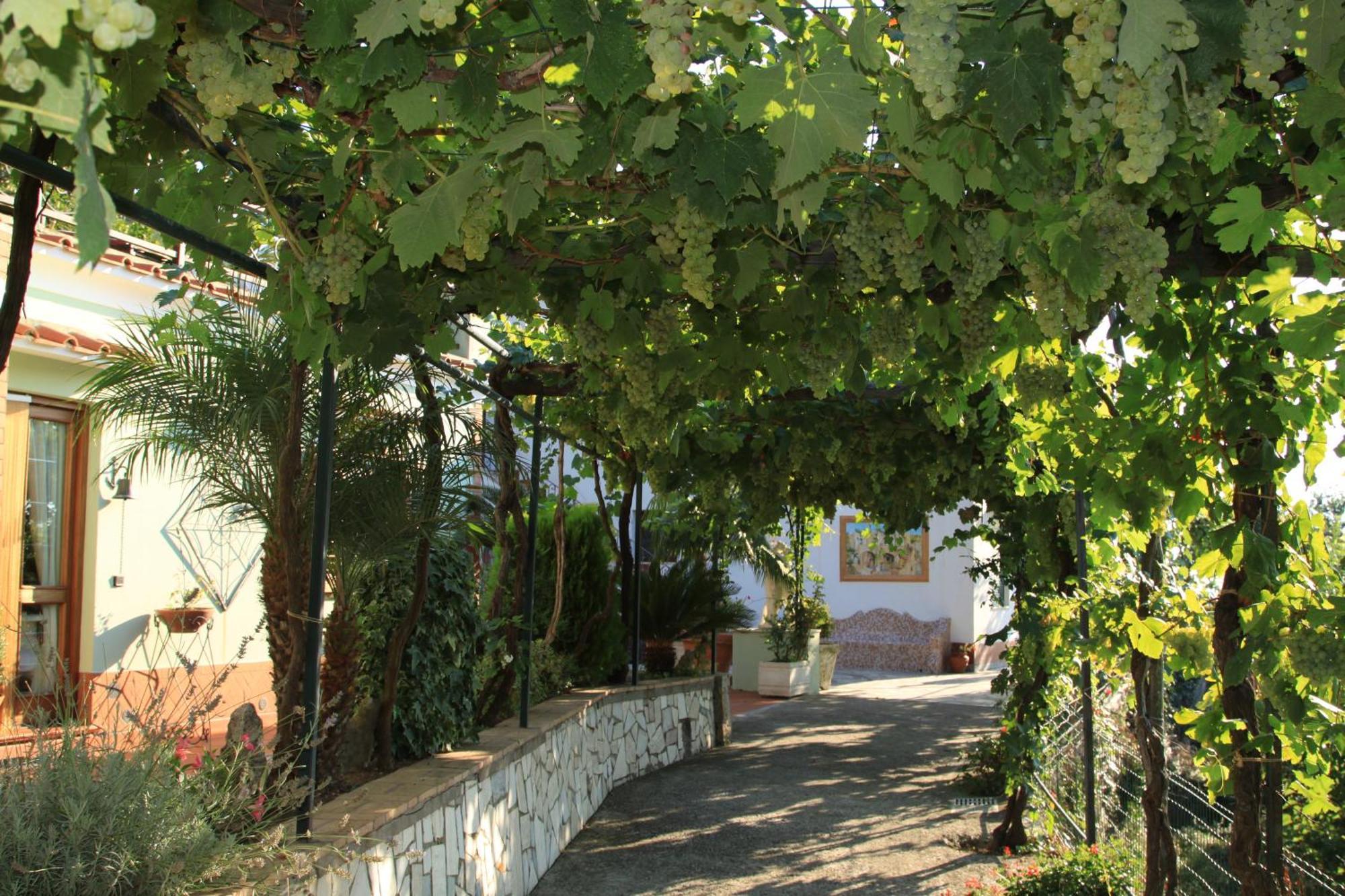 B&B Il Grappolo Anacapri  Exterior foto